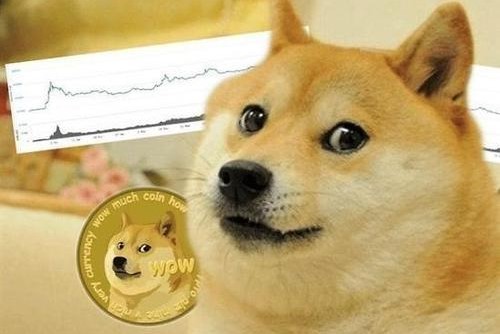 狗狗幣/SHIB的夏日狂潮，從何處來往何處去？