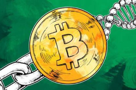 為什么說加密對沖基金并不高尚？
