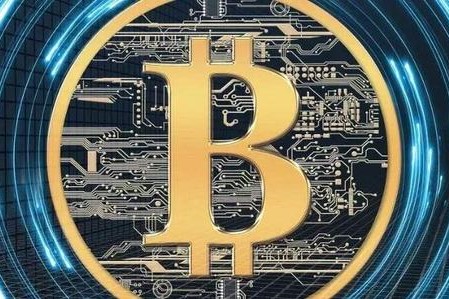 維卡幣究竟是個什么玩意？是騙局嗎？