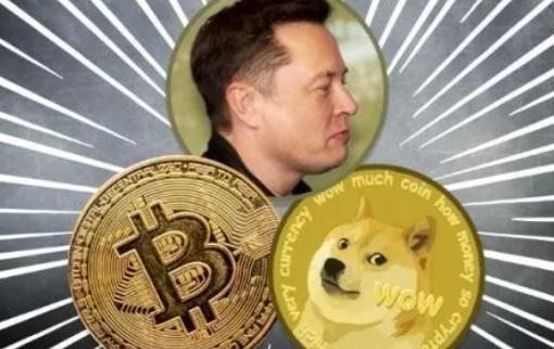 狗狗幣的非理性狂歡，該落幕了