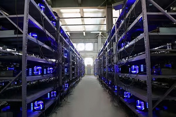 BCX幣值得重倉BCX嗎