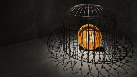 [尼約宇宙]令人震驚的真相揭開了銀行家們的面紗在比特幣中的角色