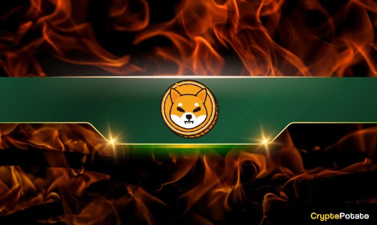 柴犬燃燒率飆升 800,000%，這就是 SHIB 價格的走向（分析師）