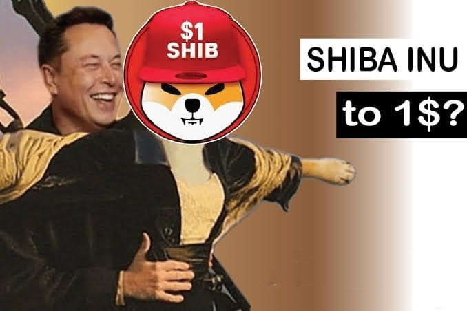 柴犬的1美元價格目標可行嗎