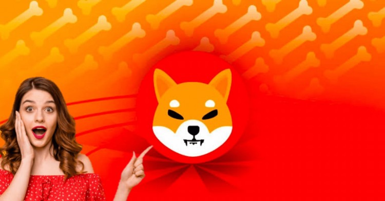 Shiba Inu (SHIB) 將獲得.shib域名，提升 Web3 體驗(yàn)