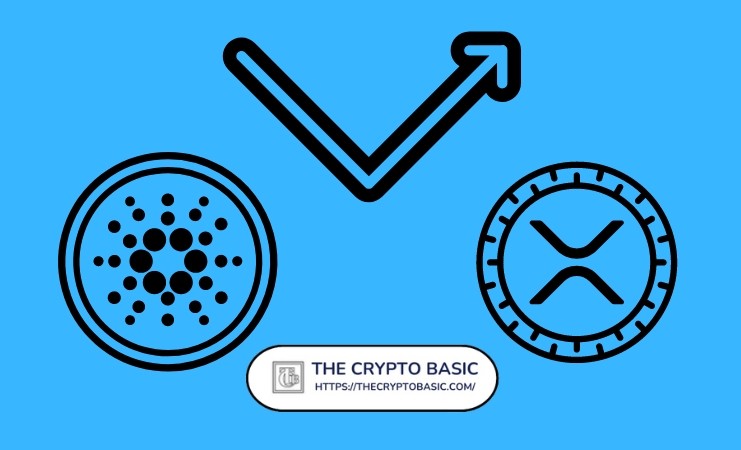 [加密市場分析師]Helius Labs 首席執(zhí)行官詢問 XRP 和 Cardano 的現(xiàn)狀如何
