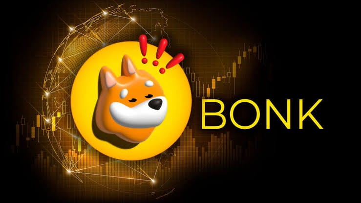 BONK熱潮：波動中的模因幣