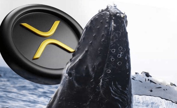 突發新聞：鯨魚在 Ripple 上押注 3.6 億 XRP，以太坊面臨十字路口，比特幣價格暴漲原因揭秘別錯過！