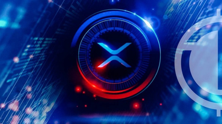 [尼約宇宙]XRP鯨魚在價格中引發投機