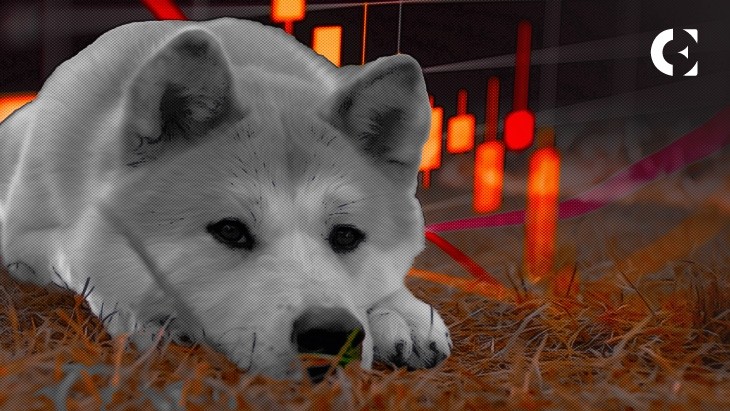 [尼約宇宙]柴犬見證了交易所供應(yīng)的減少