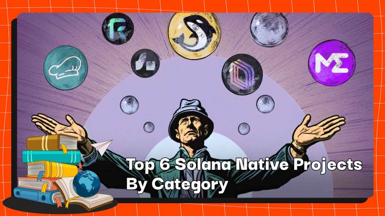 按類別劃分的6大SOLANANATIVE項目