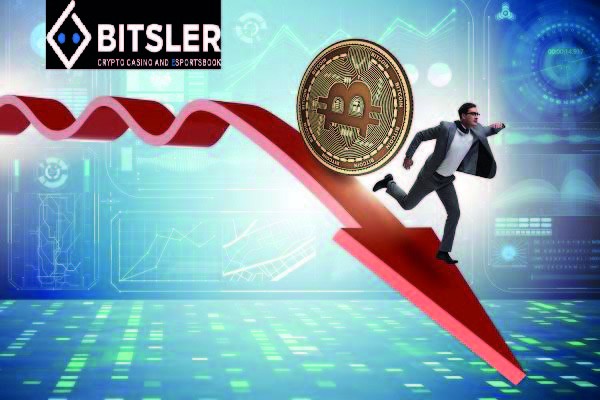 比特幣：投資者的家庭儲(chǔ)蓄 4 BTC 被利用殆盡