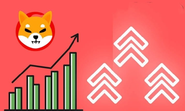 柴犬：買壓加大，反彈即將來臨嗎