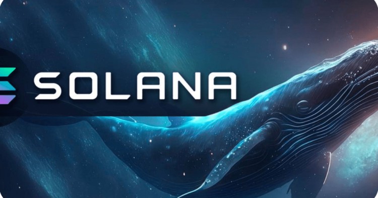 Solana (SOL) 鯨魚大規模移動，價格每月上漲80%