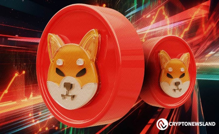 隨著巨型鯨魚移動數萬億，柴犬燃燒率飆升