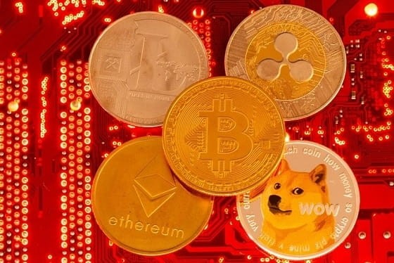 數字貨幣市場波動性挑戰 柴犬幣和狗狗幣備受關注 2024或許有希望回報