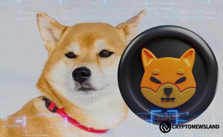 柴犬的 2024 年改變游戲規(guī)則的計(jì)劃和破紀(jì)錄的燒傷