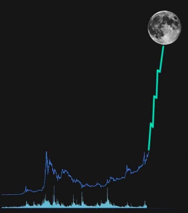 2024年頂級山寨幣探索：Cardano、Polkadot、Chainlink