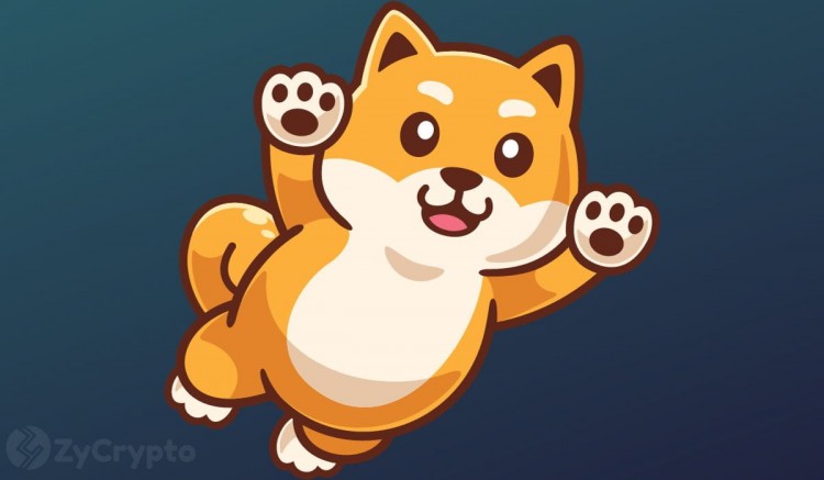 隨著巨型鯨魚捕獲數(shù)萬億的柴犬軍隊，SHIB 的價格預計將在 2024 年達到 0.001 美元的歷史新高
