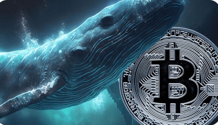 比特幣鯨魚(yú)盈利事件揭秘