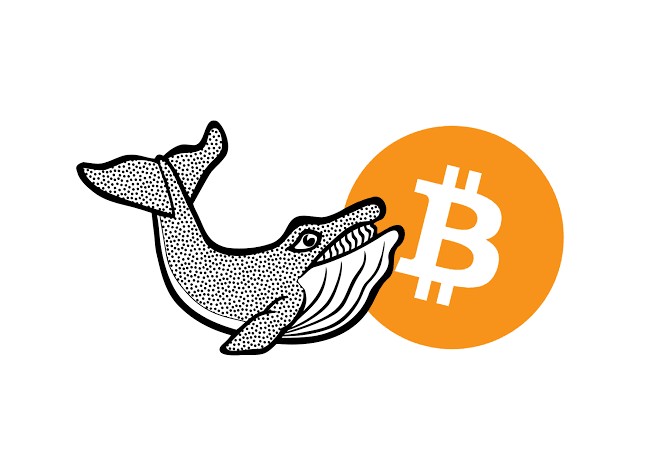 神秘比特幣流出：鯨魚(yú)警報(bào)