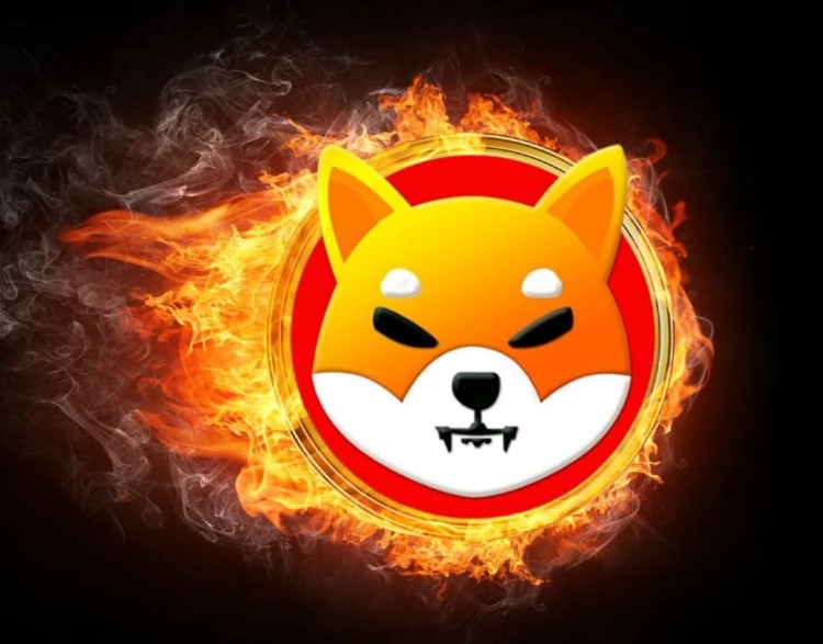 Shiba Inu 宣布自動(dòng)銷毀 SHIB 代幣計(jì)劃 <p>Shiba Inu 宣布自動(dòng)銷毀 SHIB 代幣</p>