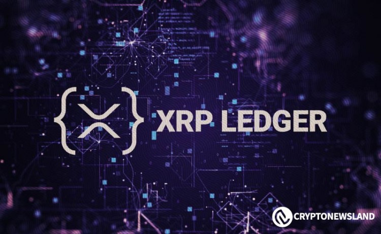 [尼約宇宙]XRP Ledger 活躍賬戶數超過 500 萬