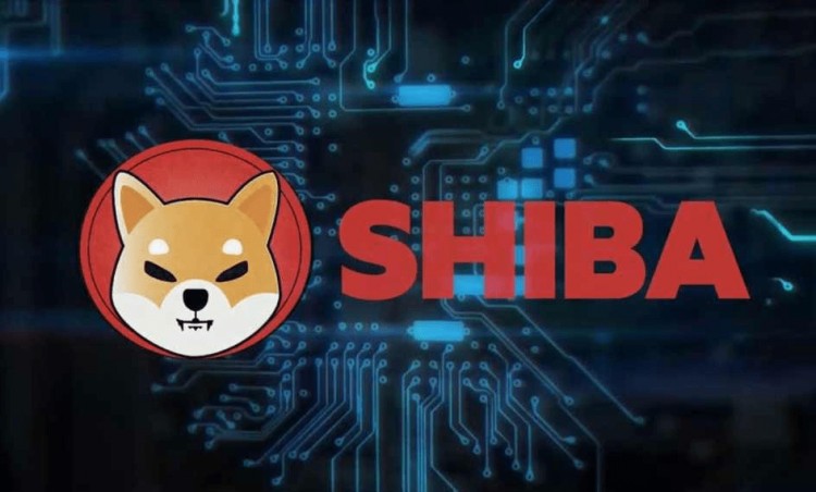 柴犬SHIB市場增持潛力