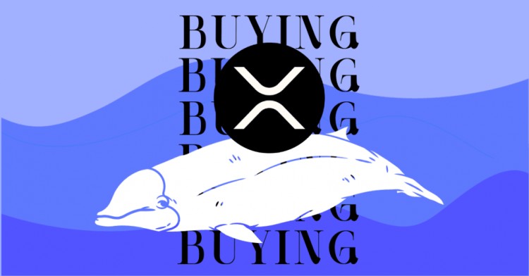 隨著 $GFOX 清算 250 萬美元，$XRP 鯨魚逢低買入