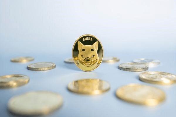 柴犬投資者 650 美元變170萬(wàn)！令人難以置信的加密成功650 美元變170萬(wàn)：柴犬冒險(xiǎn)！加密貨幣改變生活