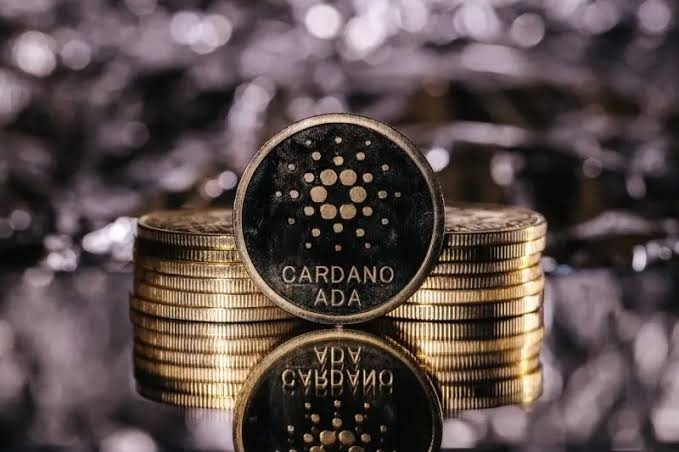 卡爾達諾ADA在開發競賽中飆升245領先以太坊ETH