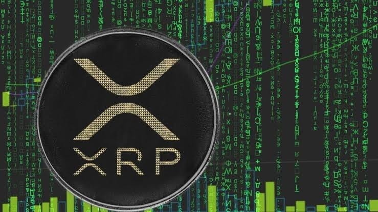 XRP 價格上漲預測 - 原因分析