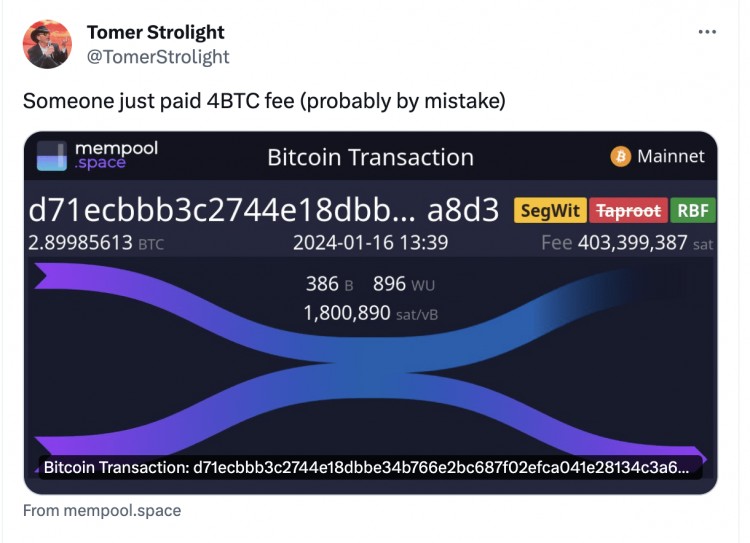 有人只轉賬 2.9 BTC，就損失了 174,000 美元的交易費用