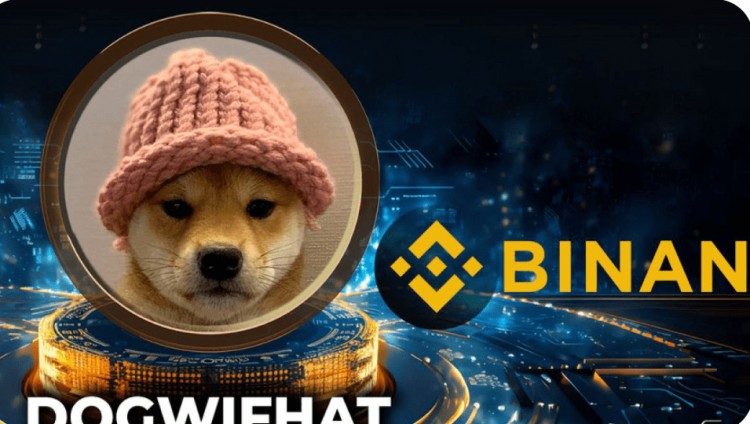 幣安上線Solana Meme幣Dogwifhat，市值達(dá)5億美元，Coinbase將是下一個(gè)目標(biāo)