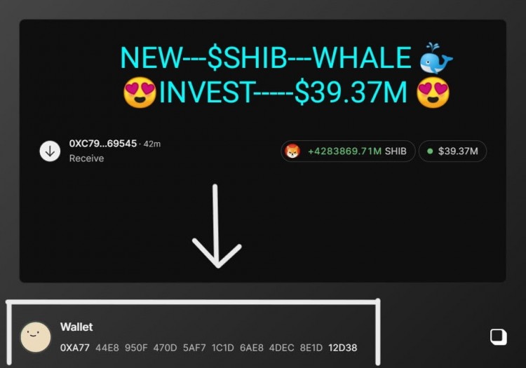 鯨魚(yú)警報(bào)！新的鯨魚(yú)出現(xiàn)!