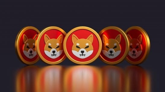 Shiba Inu (SHIB)：早期投資者故事
