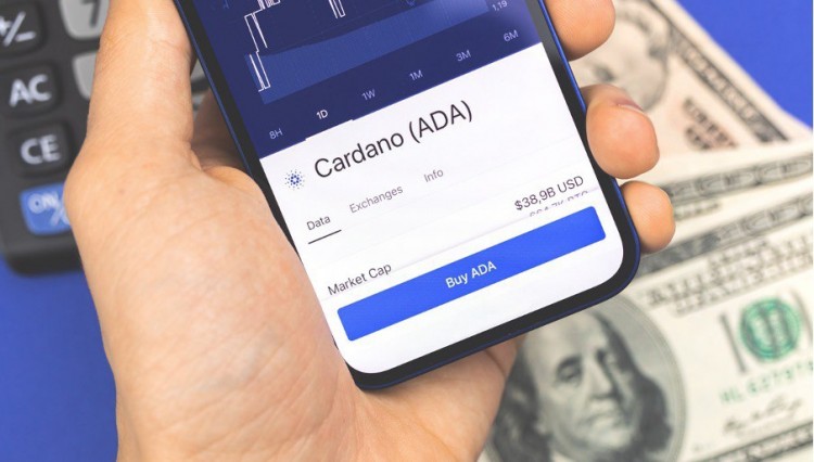 [加密藝術家]分析師預計 Cardano 和 Borroe F 將大幅上漲