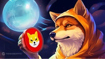 [阿爸]必買的柴犬替代品將重新奪回