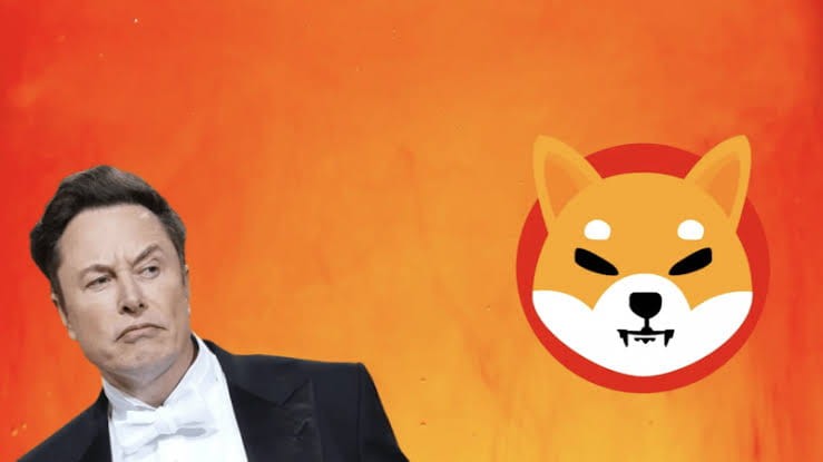 SHIBAINUELONMUSK的X會在支付功能中添加SHIB嗎