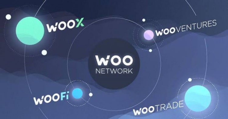 Woo 籌集 900 萬美元以提高 WOO X 交易所的流動性