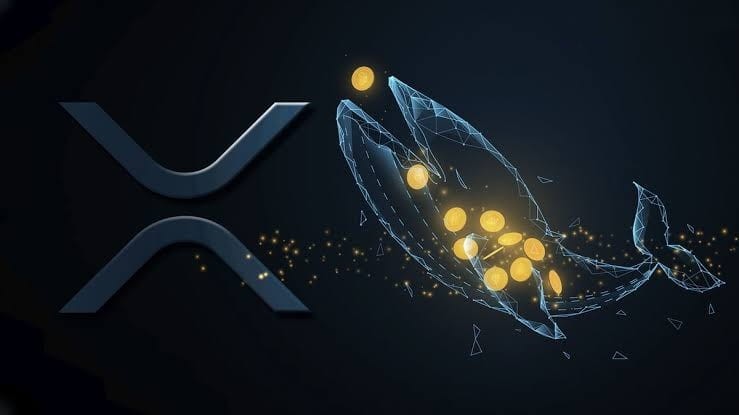 新錢包積累了8.83億XRP，激活新地址引發投資者猜測發生了一系列鯨魚活動