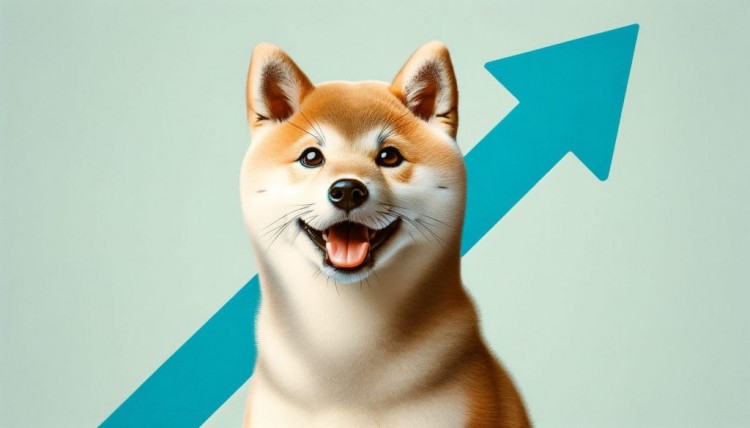 5年后柴犬（SHIB）會在哪里？