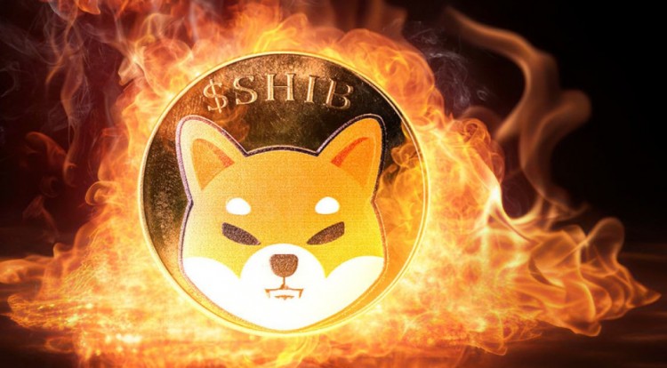 SHIB 火了，柴犬價格下一個