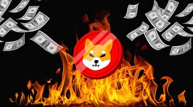 Shiba Inu銷毀率飆升,大幅削減流通量,價格上漲表現出市場看漲，成為關注焦點