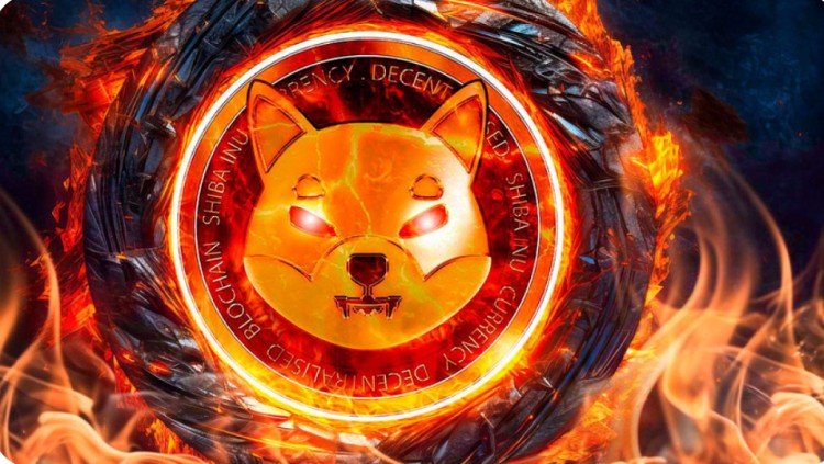 柴犬燃燒率逆勢飆升219% 詳情