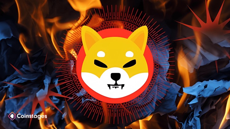 Shiba Inu 團隊發布關于 SHIB Burn 的重要通知