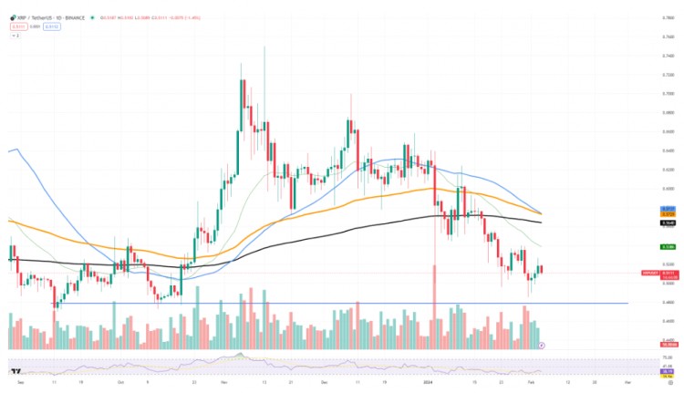 XRP 發出隱藏的看漲信號
