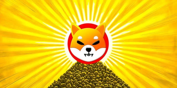 柴犬：9美元成百萬富翁