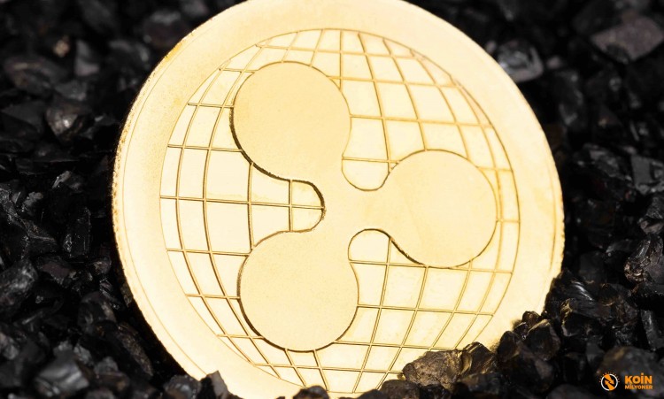 Ripple XRP 的市場分析和價格預測