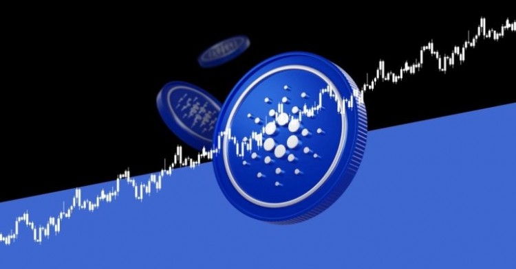 [烏西丹加拉迪馬]Chainlink (LINK) 因 Whale Ac 飆升至兩年高點
